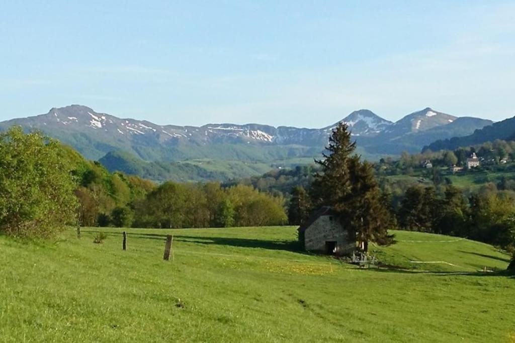 Gite A La Ferme Au Coeur De L'Auvergne Saint-Hippolyte  Exterior foto